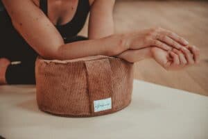 HAUT – Velours Camel